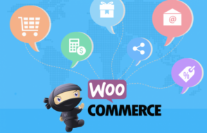 WooCommerce Plugins